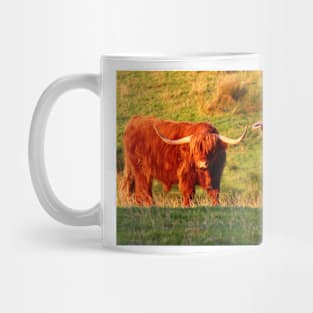 Highland Cows in the Sun Mug